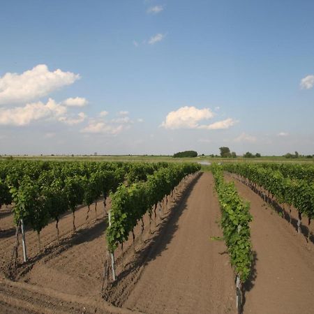 Arkadenweingut-Gaestehaus Heiss Илмиц Екстериор снимка